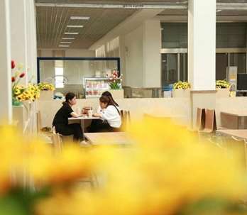 ������I(y��)ʳ�óа�������ʲô���y