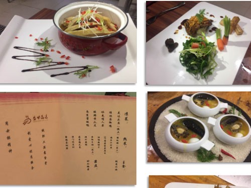 VIP�������